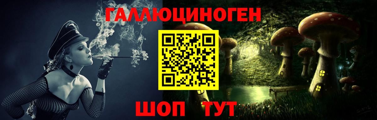 Галлюциногенные грибы GOLDEN TEACHER  Галлюциногенные грибы GOLDEN TEACHER  Вход с VPN  Северобайкальск 