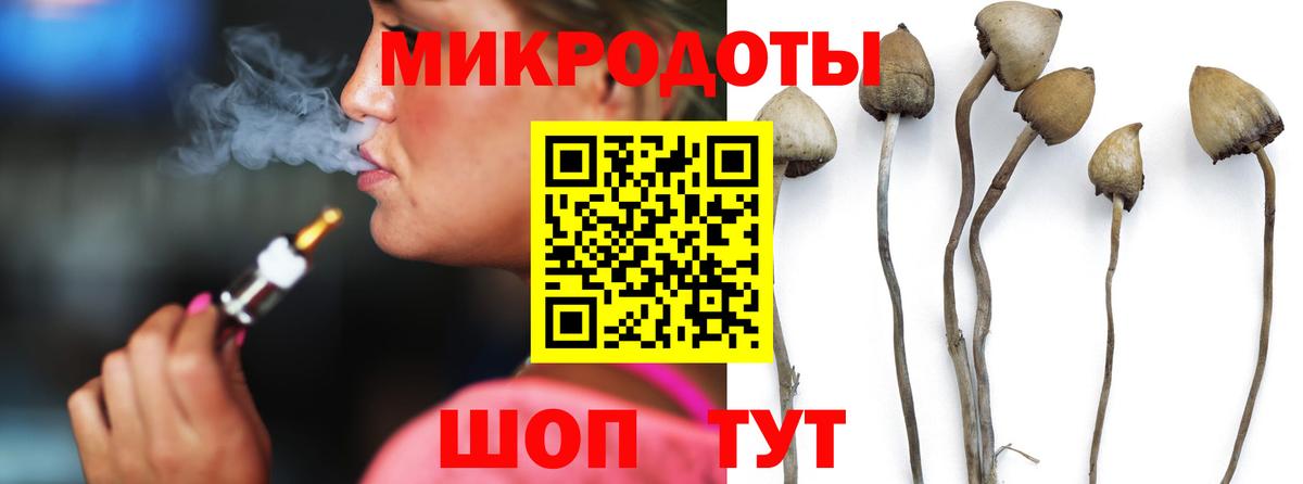 Галлюциногенные грибы MAGIC MUSHROOMS Северобайкальск